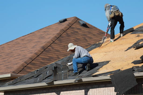 Professional Roofing services in Sheridan, WY